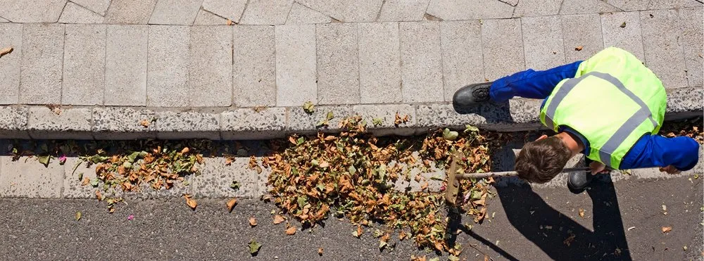 Professional lawn mowing service in San Diego, CA - CAM Property Services