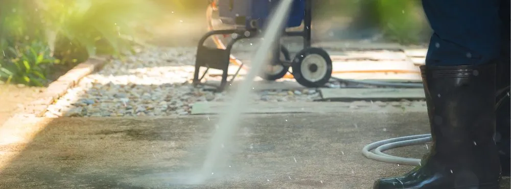 Affordable landscape installation in San Diego, CA by CAM Property Services