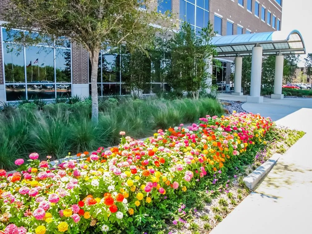 Affordable landscaping services in San Diego, CA - CAM Property Services