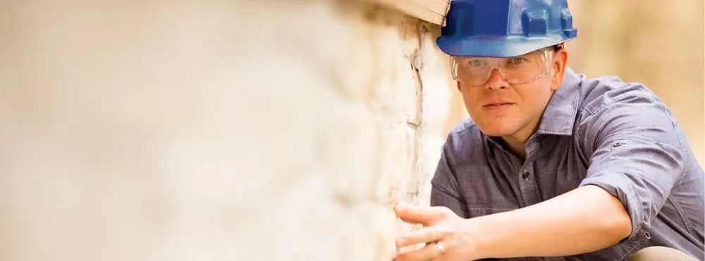 Professional outdoor landscaping in San Diego, CA - CAM Property Services