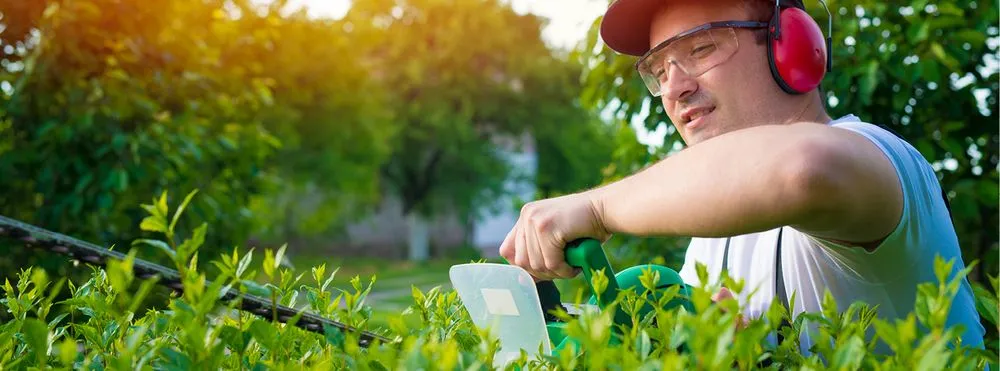 Expert residential landscaping in San Diego, CA by CAM Property Services