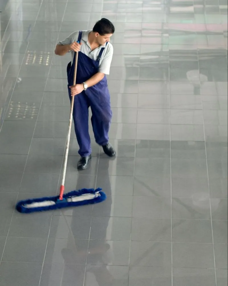 Expert landscaping services experts serving Torrance, CA - CAM Property Services