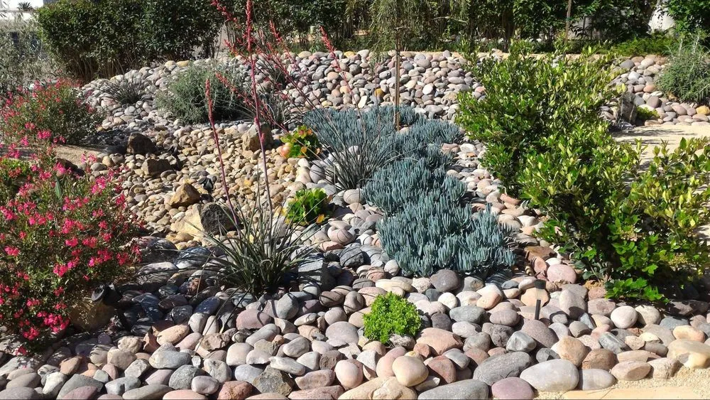 Professional outdoor landscaping near you across Torrance, CA - CAM Property Services