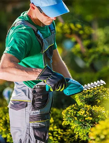 Expert residential landscaping in Torrance, CA - CAM Property Services