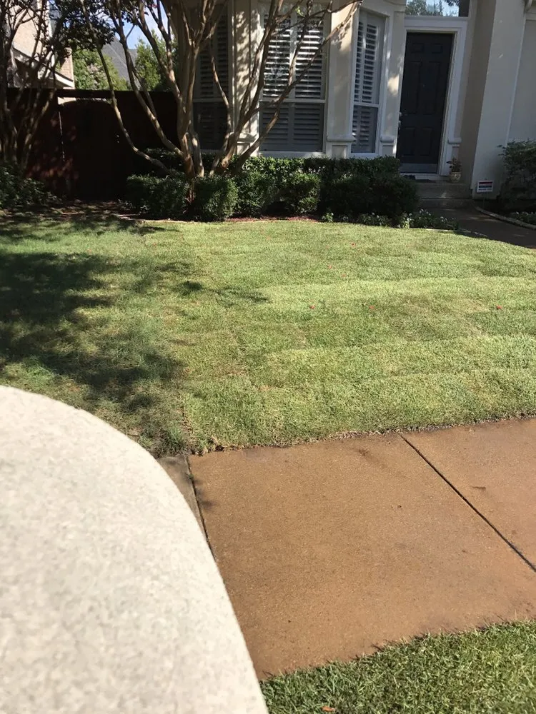 Top-rated lawn mowing service in Dallas, TX - Camacho Building and Landscaping