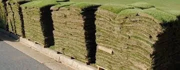 Top-rated residential landscaping in Dallas, TX - Camacho Building and Landscaping