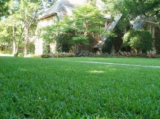 Custom landscaping services experts serving Dallas, TX - Camacho Building and Landscaping