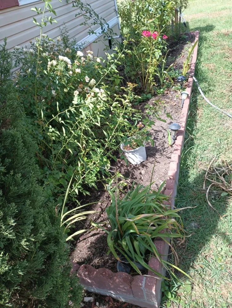 Trusted landscape installation for year-round maintenance across Kaplan, LA - Camacho Home Improvements