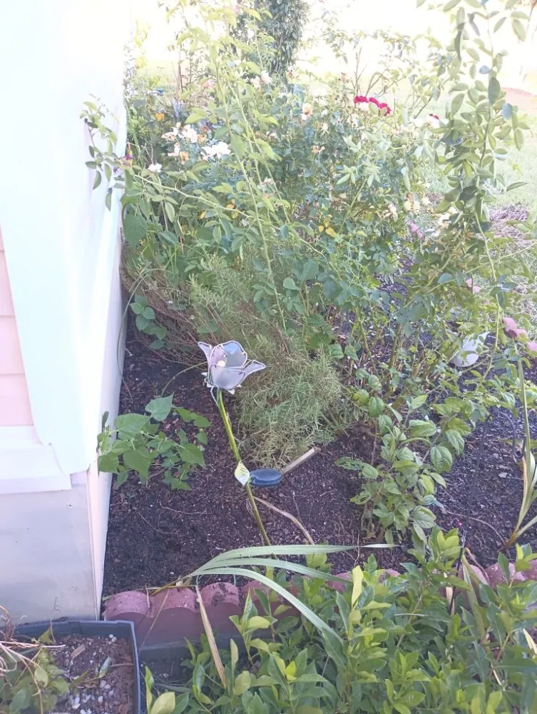 Trusted lawn care service experts serving Kaplan, LA - Camacho Home Improvements