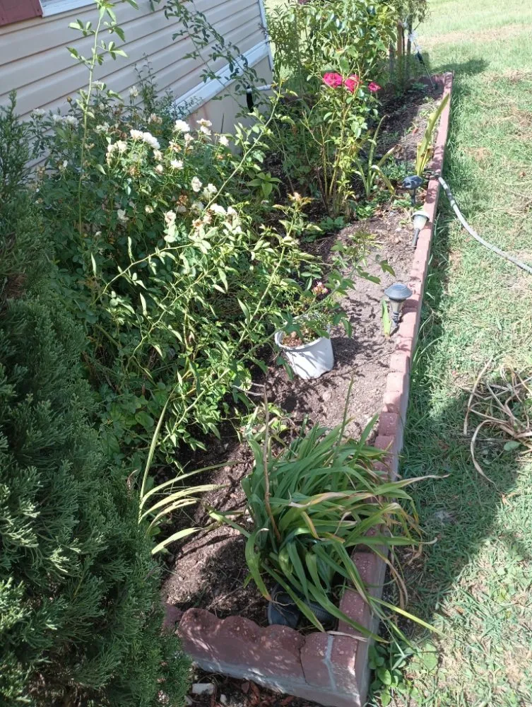 Reliable outdoor landscaping in Kaplan, LA by Camacho Home Improvements