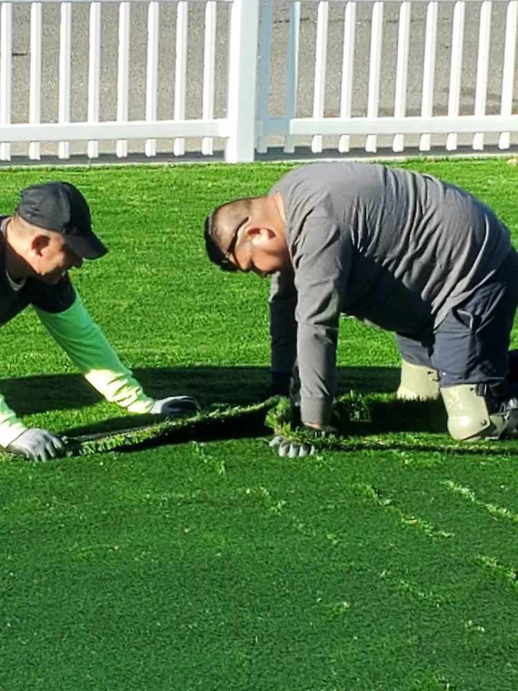 Top-rated landscape design for outdoor upgrades in Novato, CA by Camacho Landscape