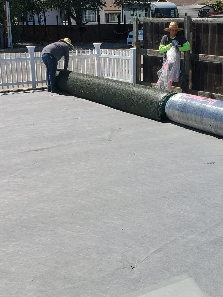 Professional lawn mowing service in Novato, CA by Camacho Landscape