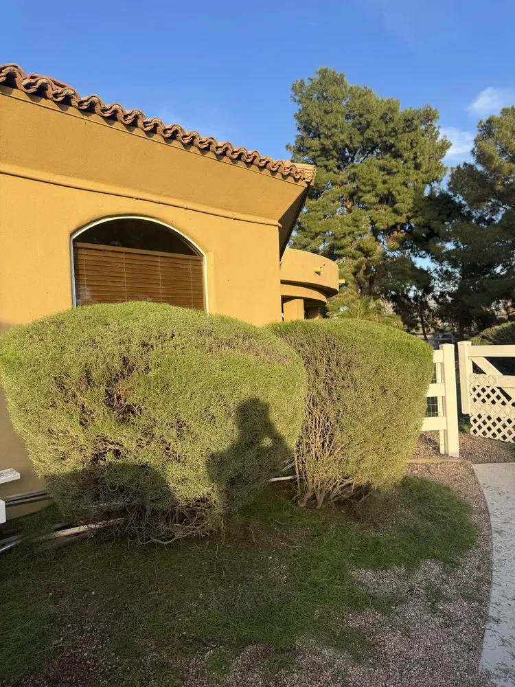 Affordable landscape design experts serving Gilbert, AZ - Camacho Landscaping