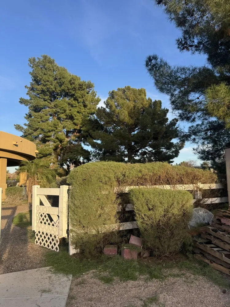 Top-rated garden landscaping experts serving Gilbert, AZ - Camacho Landscaping