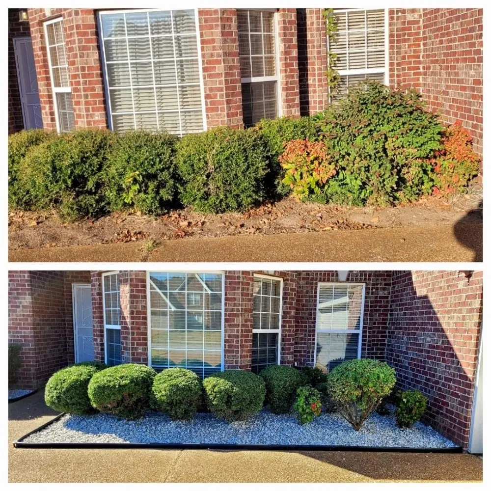 Custom yard cleanup service experts serving Memphis, TN - Camacho Lawn Care