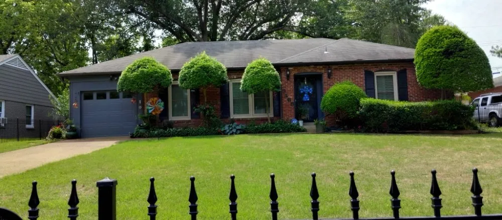 Reliable lawn mowing service with custom design in Memphis, TN by Camacho Lawn Care