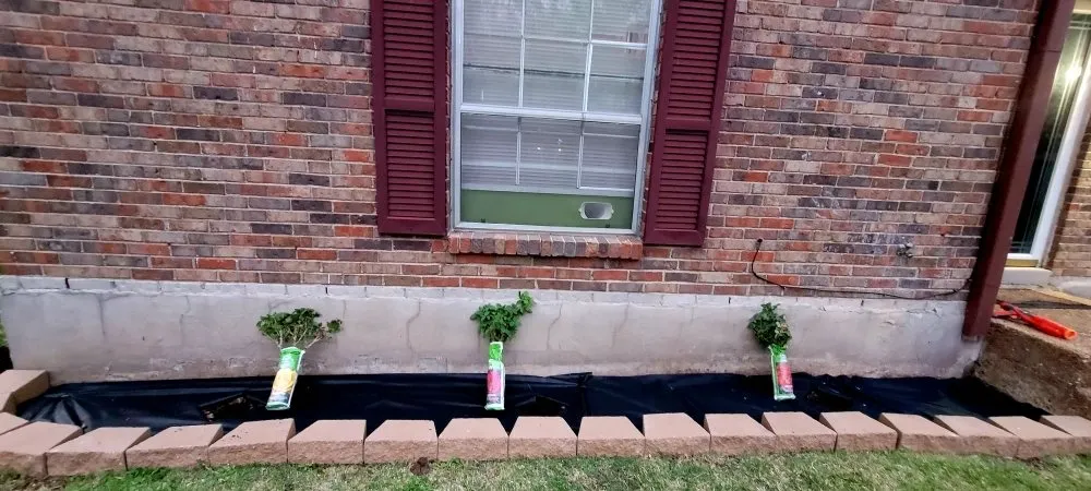 Expert lawn care service for outdoor upgrades across Memphis, TN - Camacho Lawn Care