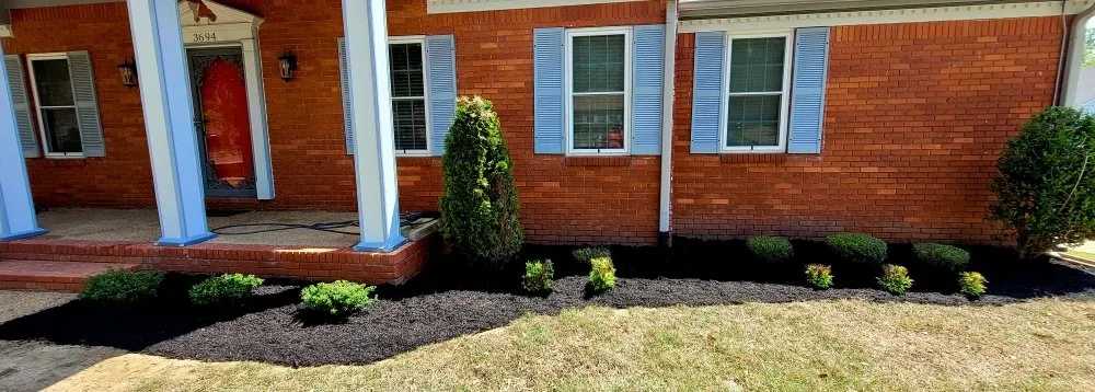 Local lawn care service experts serving Memphis, TN - Camacho Lawn Care