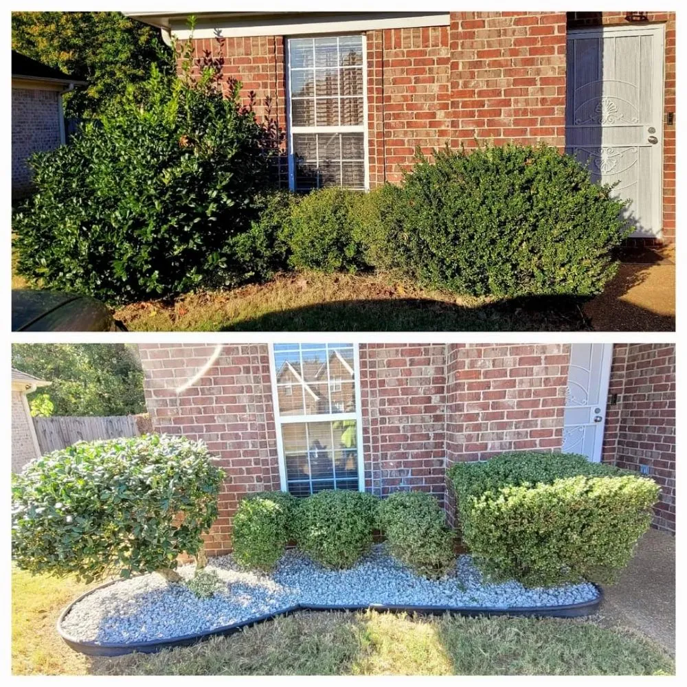 Expert landscaping services experts serving Memphis, TN - Camacho Lawn Care