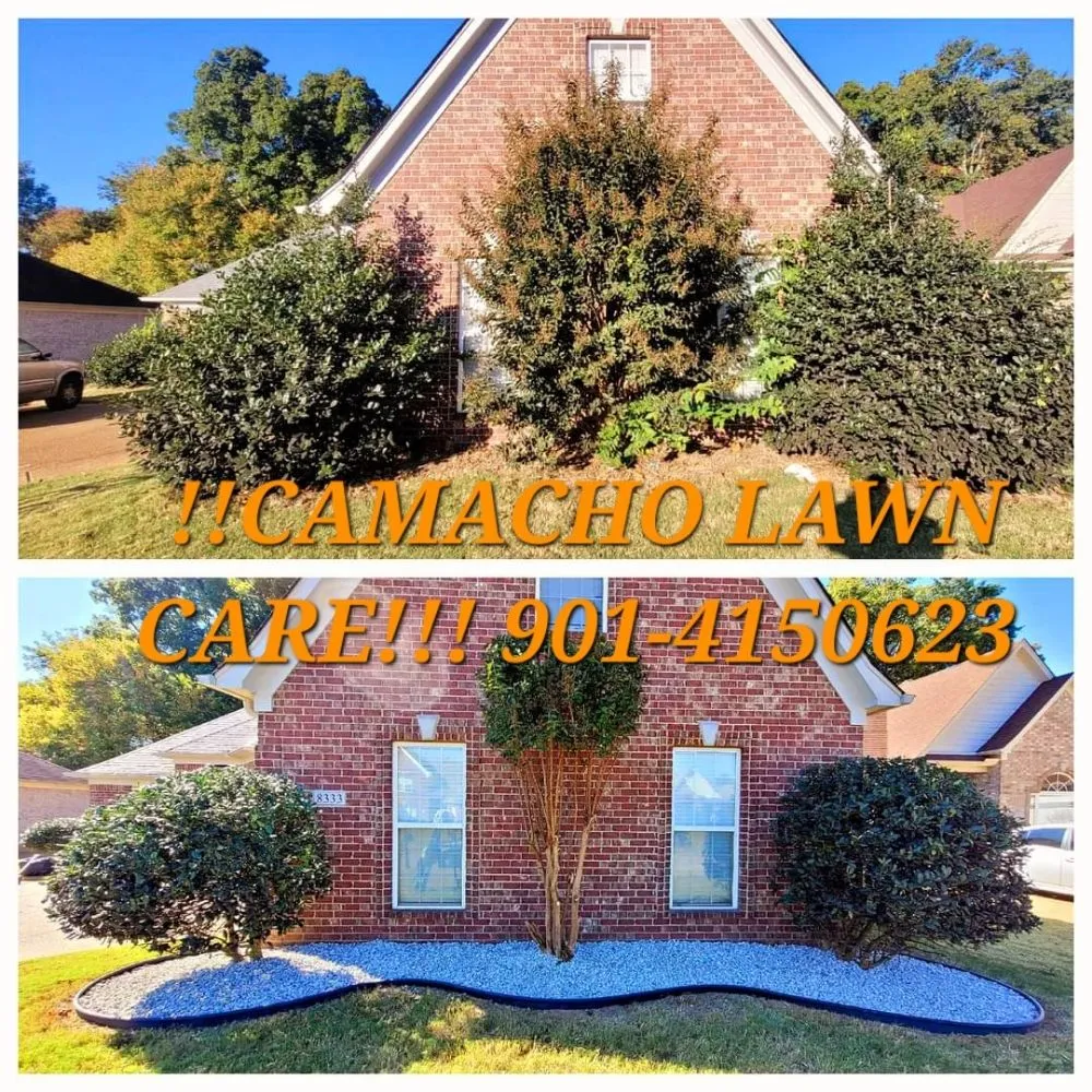 Top-rated outdoor landscaping for homes in Memphis, TN by Camacho Lawn Care