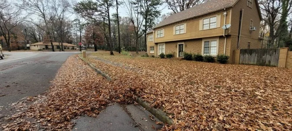 Top-rated landscape design experts serving Memphis, TN - Camacho Lawn Care