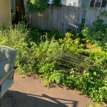 Reliable yard cleanup service experts serving Chicopee, MA - Camacho Lawns and Landscapes