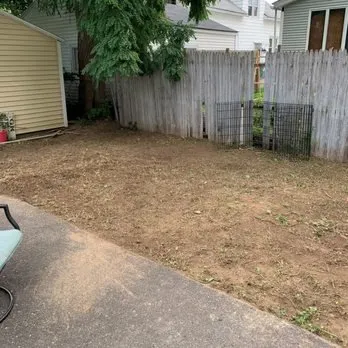 Local yard cleanup service for year-round maintenance in Chicopee, MA by Camacho Lawns and Landscapes