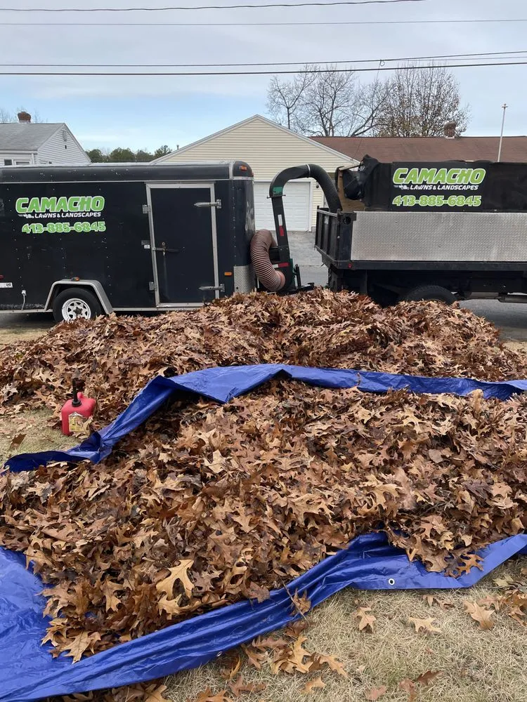 Local yard maintenance experts serving Chicopee, MA - Camacho Lawns and Landscapes