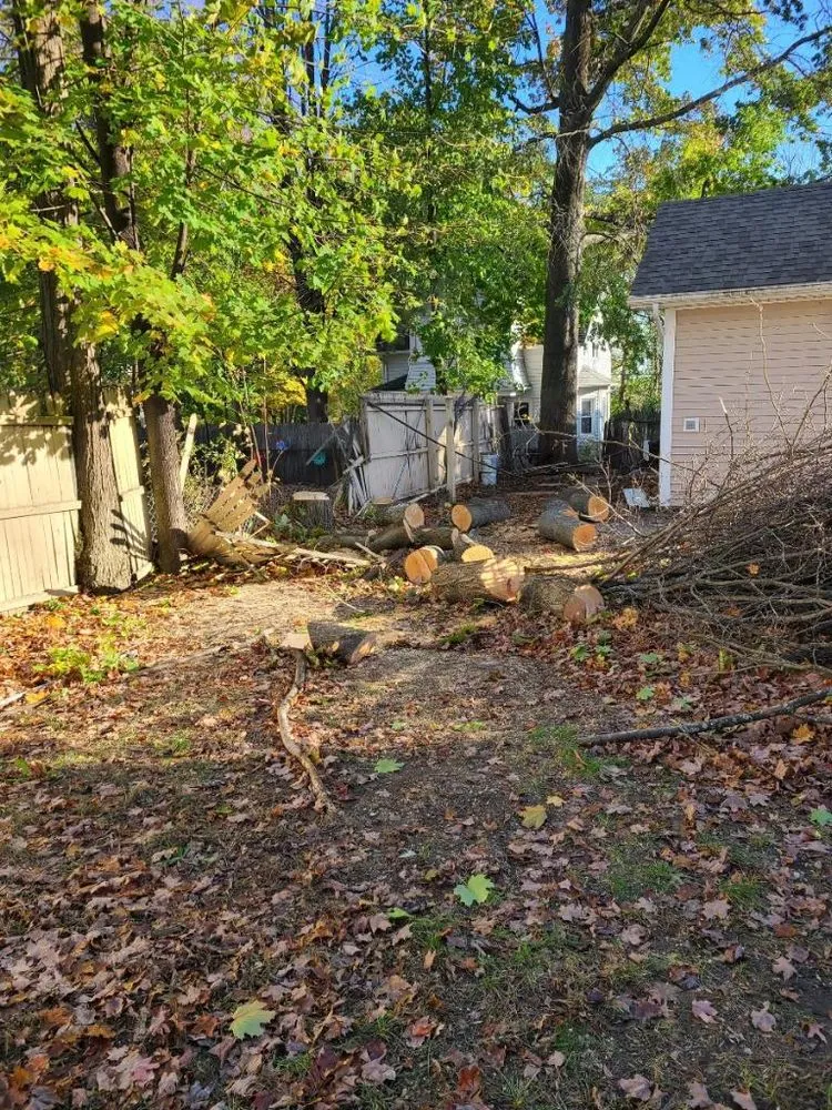 Top-rated yard cleanup service experts serving Chicopee, MA - Camacho Lawns and Landscapes