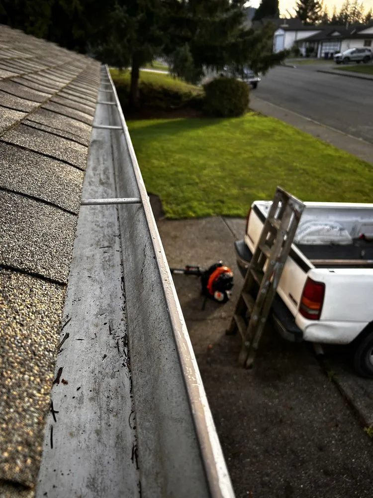 Expert landscape design in Mount Vernon, WA - Camacho