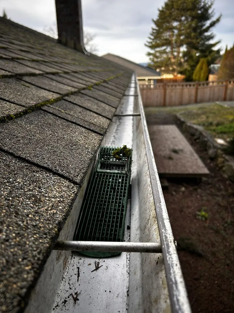 Expert yard maintenance for residential properties in Mount Vernon, WA by Camacho