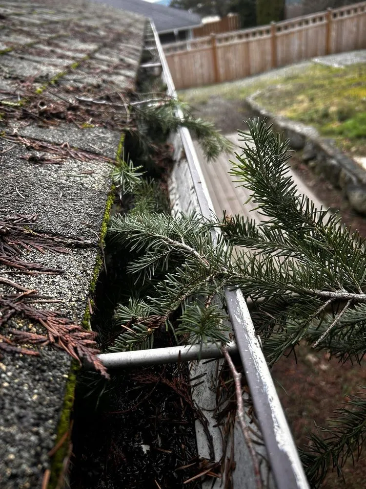 Trusted outdoor landscaping in Mount Vernon, WA by Camacho