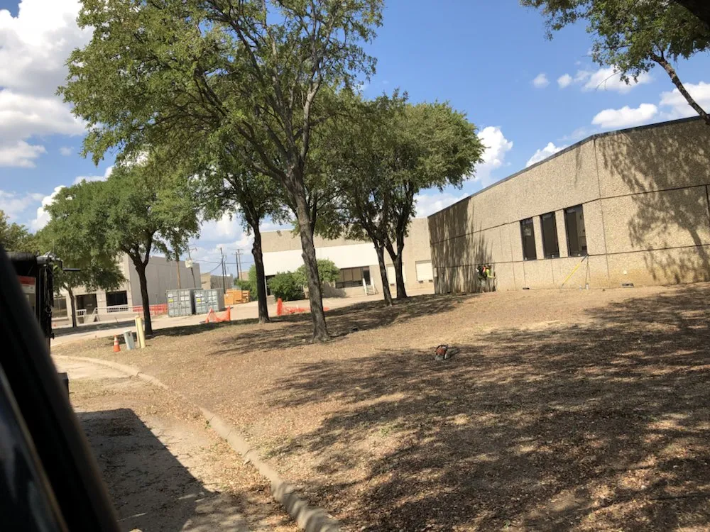 Professional yard maintenance in Burleson, TX by Camacho Tree Service & Landscaping