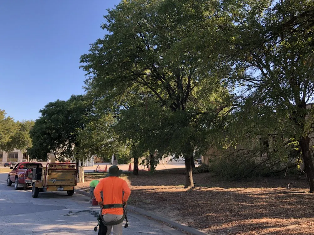 Expert residential landscaping in Burleson, TX by Camacho Tree Service & Landscaping