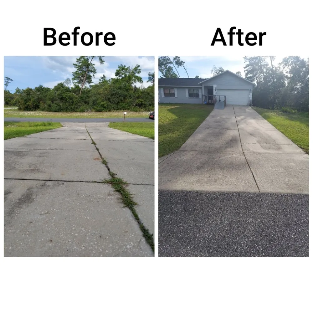 Professional landscape design in Ocala, FL by Camacho's Flawless Home Detail