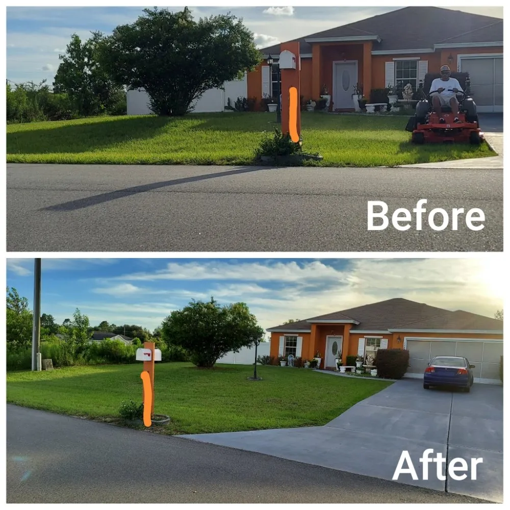 Reliable landscape design in Ocala, FL - Camacho's Flawless Home Detail