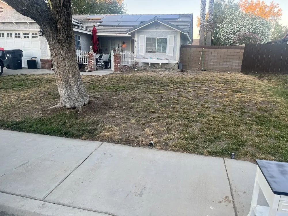 Custom lawn mowing service for beautiful yards in Lancaster, CA by Camarena Landscapes