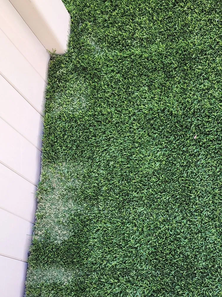 Affordable lawn care service near you across Lancaster, CA - Camarena Landscapes