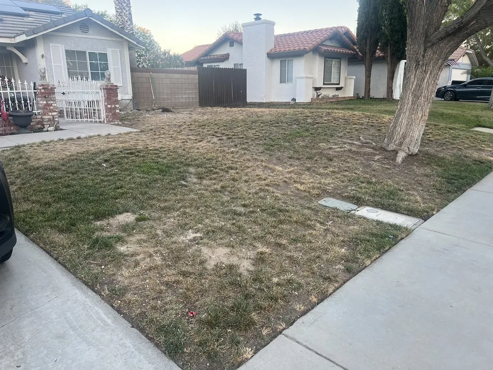 Reliable outdoor landscaping for beautiful yards in Lancaster, CA by Camarena Landscapes