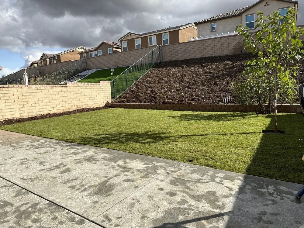 Expert yard maintenance experts serving Lancaster, CA - Camarena Landscapes