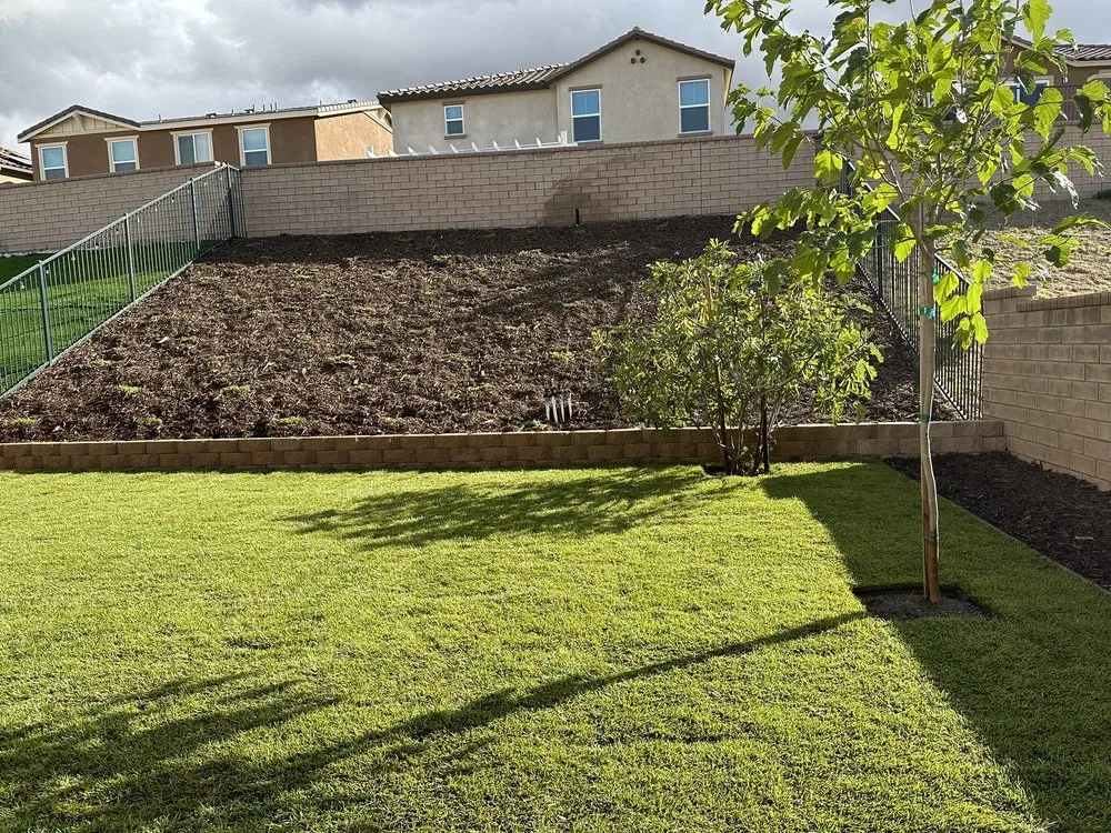 Custom yard cleanup service in Lancaster, CA by Camarena Landscapes