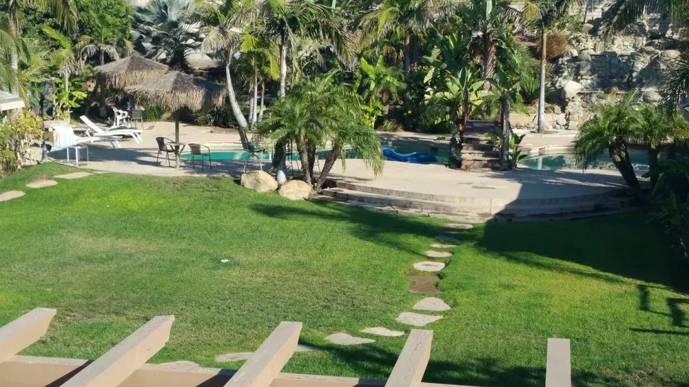 Professional yard maintenance in Camarillo, CA - Camarillo Landscaping & Tree Service