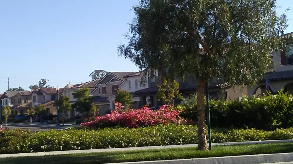 Professional landscape design near you across Camarillo, CA - Camarillo Landscaping & Tree Service