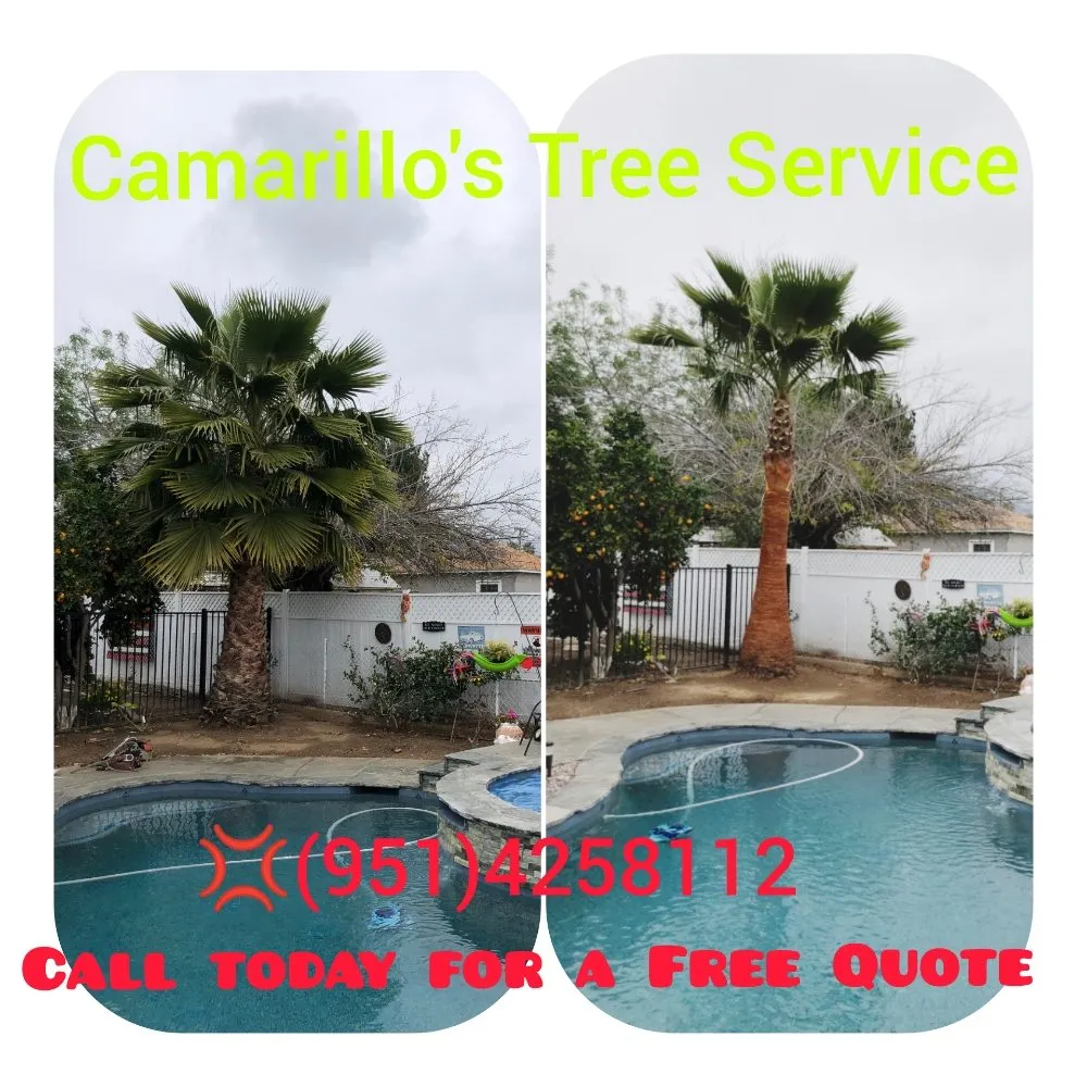 Reliable landscape design for outdoor upgrades in Riverside, CA by Camarillos Tree Service