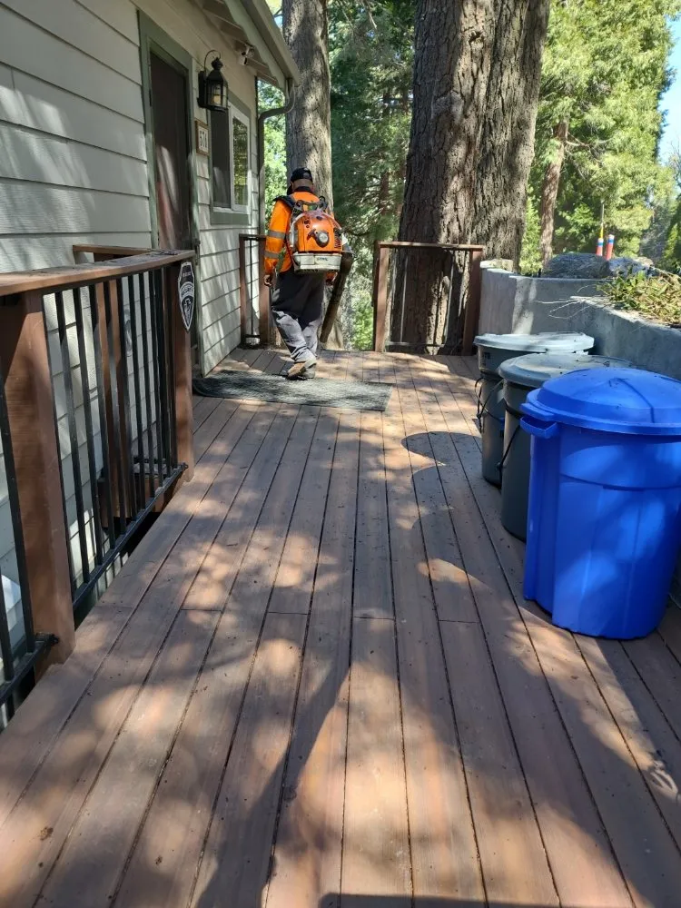 Top-rated yard maintenance for beautiful yards across Riverside, CA - Camarillos Tree Service