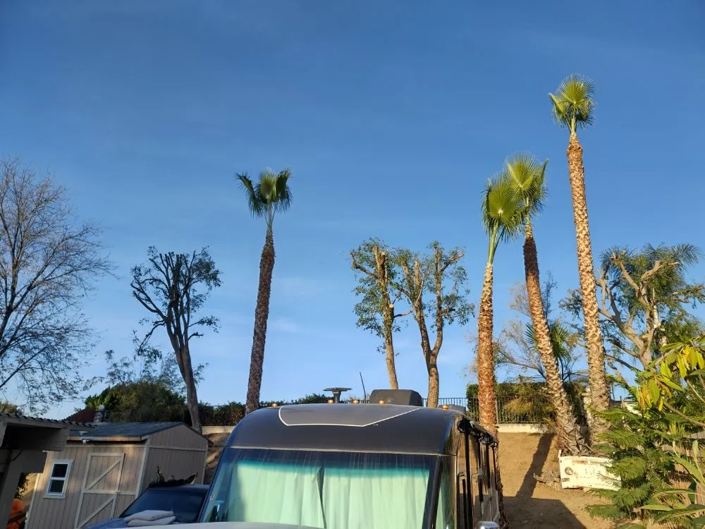 Local outdoor landscaping for homes in Riverside, CA by Camarillos Tree Service