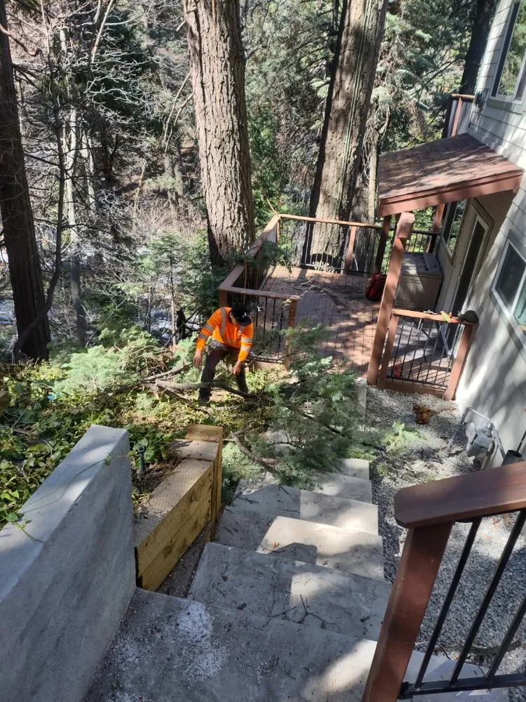 Custom yard maintenance experts serving Riverside, CA - Camarillos Tree Service