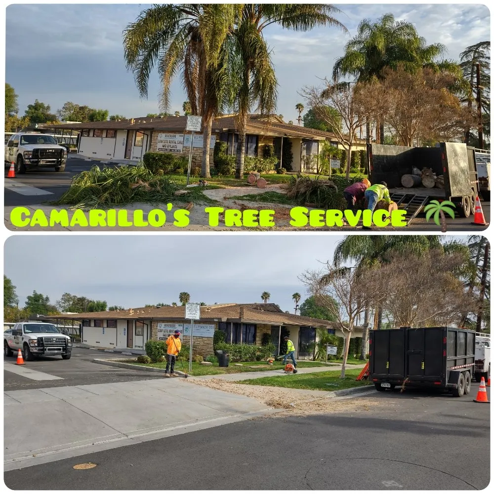 Trusted garden landscaping experts serving Riverside, CA - Camarillos Tree Service