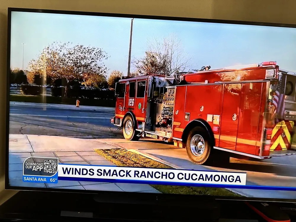 Custom yard maintenance experts serving Riverside, CA - Camarillos Tree Service