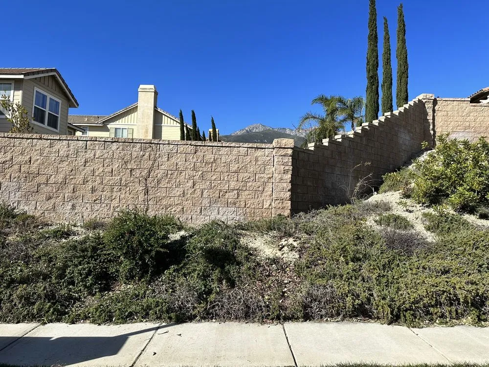 Local landscaping services for year-round maintenance across Riverside, CA - Camarillos Tree Service